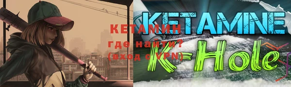 прущие грибы Ахтубинск