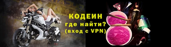 прущие грибы Ахтубинск