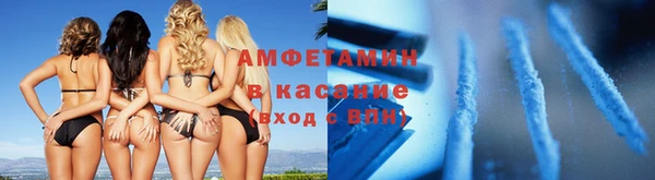 прущие грибы Ахтубинск