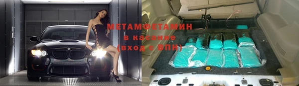 прущие грибы Ахтубинск