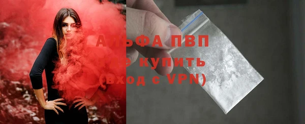 прущие грибы Ахтубинск