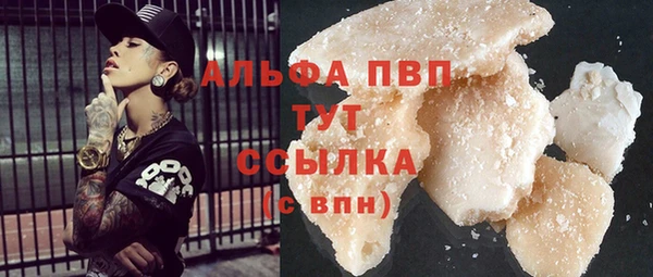 прущие грибы Ахтубинск