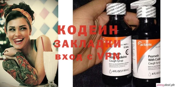 прущие грибы Ахтубинск