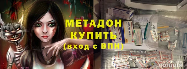 прущие грибы Ахтубинск