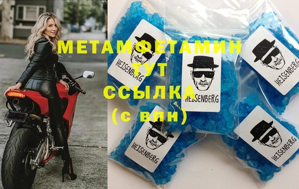 прущие грибы Ахтубинск