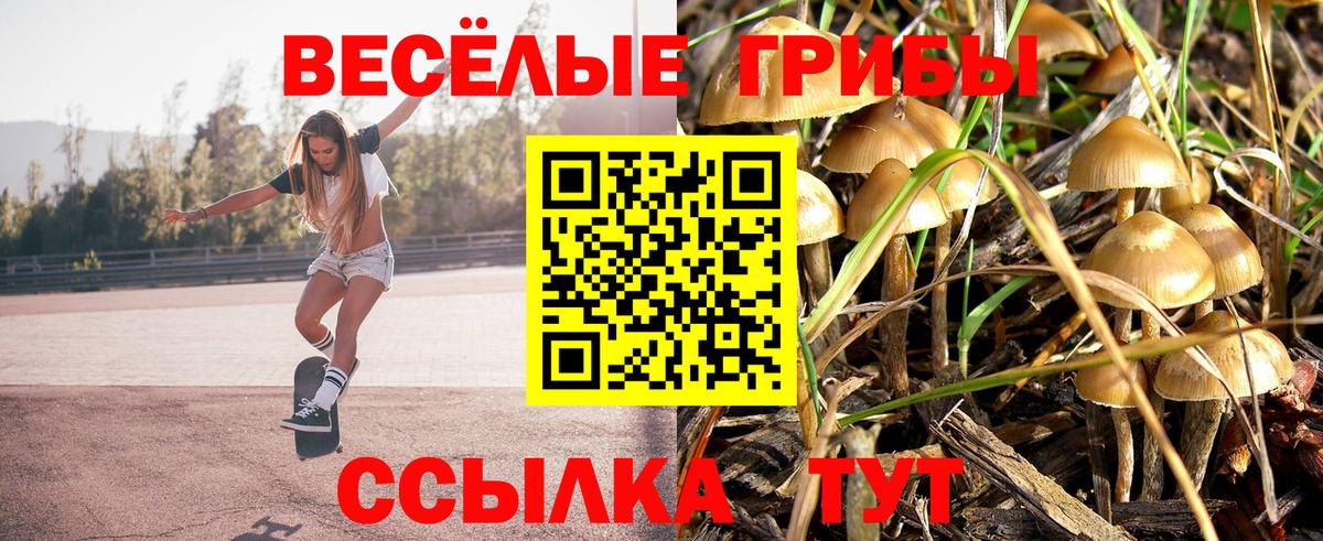 Псилоцибиновые грибы мухоморы  Псилоцибиновые грибы прущие грибы  Геленджик  Вход с VPN 