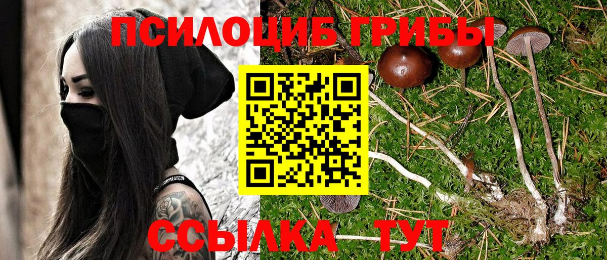 Галлюциногенные грибы Magic Shrooms Геленджик